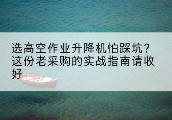 应县高空作业升降机厂家推荐-选高空作业升降机怕踩坑？这份老采购的实战指南请收好
