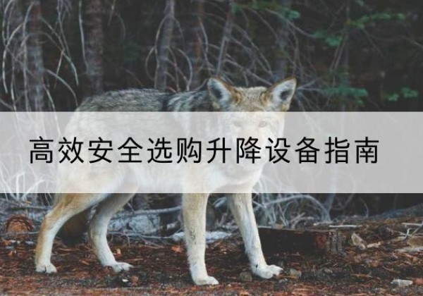 应县升降货梯厂家推荐-*安全选购升降设备指南
