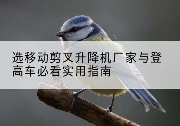 应县电动升降机厂家-选移动剪叉升降机厂家与登高车必看实用指南